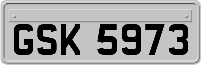GSK5973