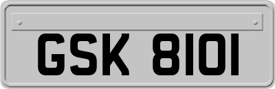 GSK8101