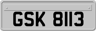 GSK8113