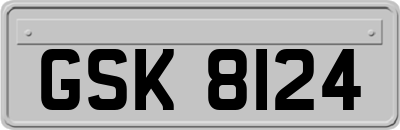 GSK8124