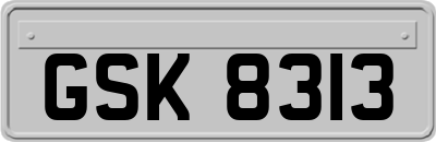 GSK8313