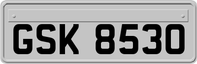 GSK8530