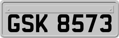 GSK8573