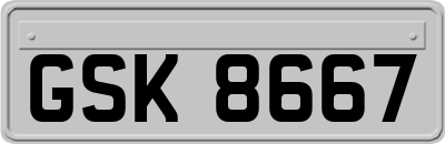 GSK8667