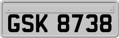 GSK8738