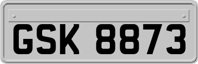 GSK8873