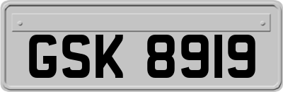 GSK8919