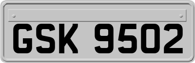 GSK9502
