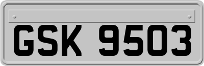 GSK9503