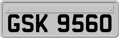 GSK9560