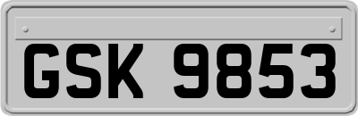 GSK9853