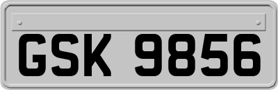 GSK9856