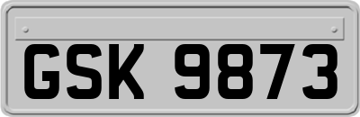 GSK9873