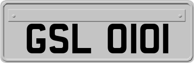 GSL0101