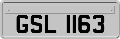 GSL1163