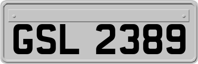 GSL2389