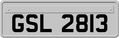 GSL2813