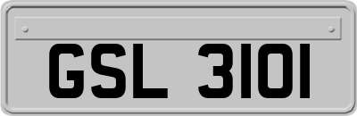 GSL3101