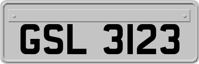 GSL3123