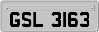 GSL3163