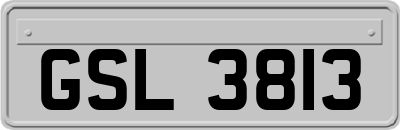 GSL3813