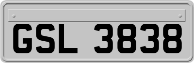 GSL3838