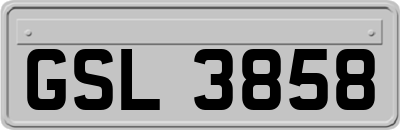 GSL3858