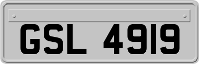 GSL4919