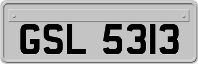 GSL5313