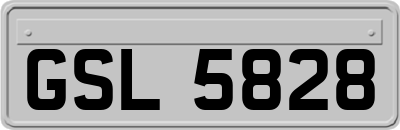 GSL5828