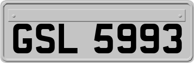 GSL5993
