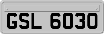 GSL6030