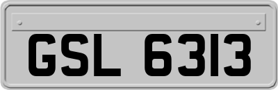 GSL6313