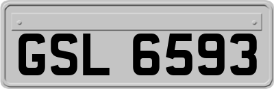 GSL6593