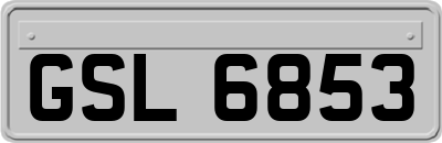 GSL6853