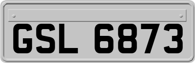 GSL6873