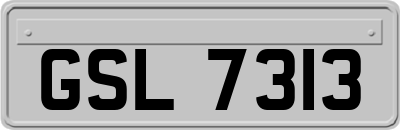 GSL7313