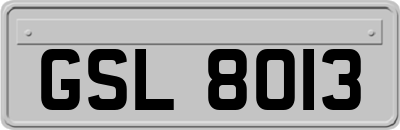 GSL8013