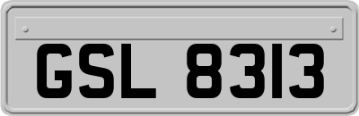 GSL8313