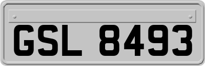 GSL8493