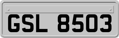 GSL8503