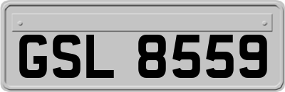 GSL8559