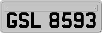 GSL8593