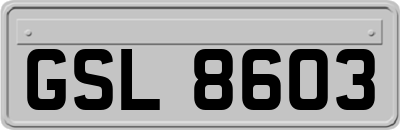 GSL8603