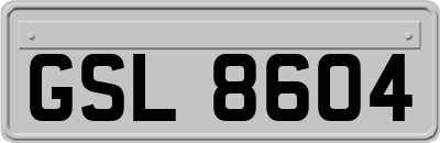 GSL8604