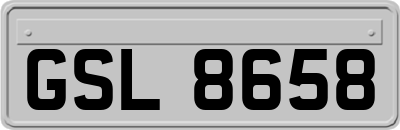GSL8658