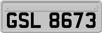 GSL8673