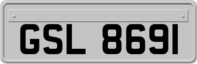 GSL8691