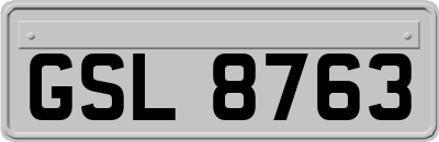 GSL8763