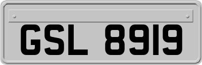 GSL8919